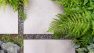 Landscape architecture services at Board & Vellum. - Detail of pavers in a landscaped garden with ferns.