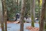 Gravel and boardwalk paths that are part of a bike skills area wind around larger, mature trees.