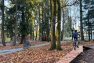 A child riding their bike over a boardwalk in an outdoor bike skills park. A younger child walks his bike along a gravel path beyond. — Mercer Island Bike Skills Area – Board & Vellum