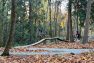 A bike rider takes on air as they jump over a boardwalk “sender.” — Mercer Island Bike Skills Area – Board & Vellum