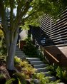 The side yard of Makai House, which is designed after a Japanese stroll garden. There is a staircase along the side of the house which jogs to the side toward the house to avoid a mature maple tree.