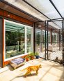 A catio at Pasado’s Safe Haven’s Kitty City. There are cats lounging in the sun within fenced-in patios. Large windows into the building show the interior spaces available to the cats.